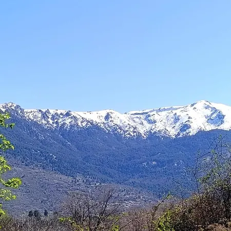 Joli Cosy Au Coeur De La Montagne Corse
