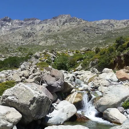 Joli Cosy Au Coeur De La Montagne Corse *