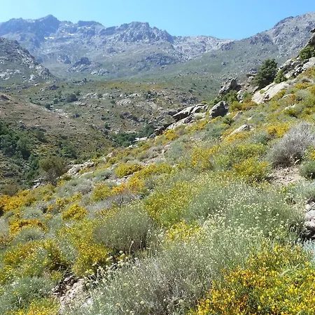 Joli Cosy Au Coeur De La Montagne Corse *