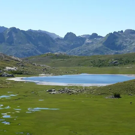 Joli Cosy Au Coeur De La Montagne Corse * Lozzi