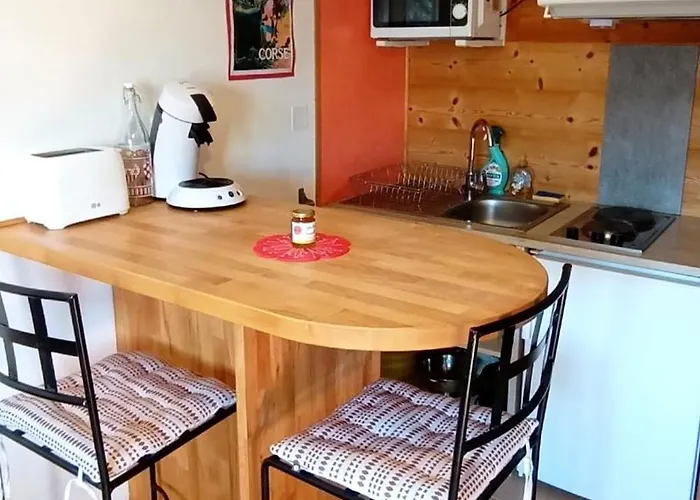 Lejlighed Joli Cosy Au Coeur De La Montagne Corse