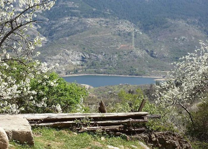 Joli Cosy Au Coeur De La Montagne Corse *