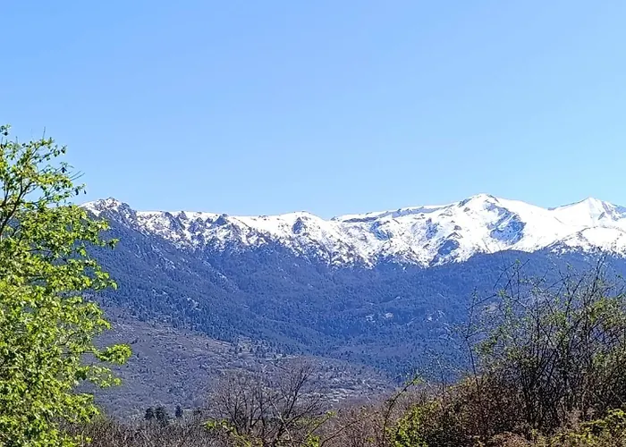 Joli Cosy Au Coeur De La Montagne Corse