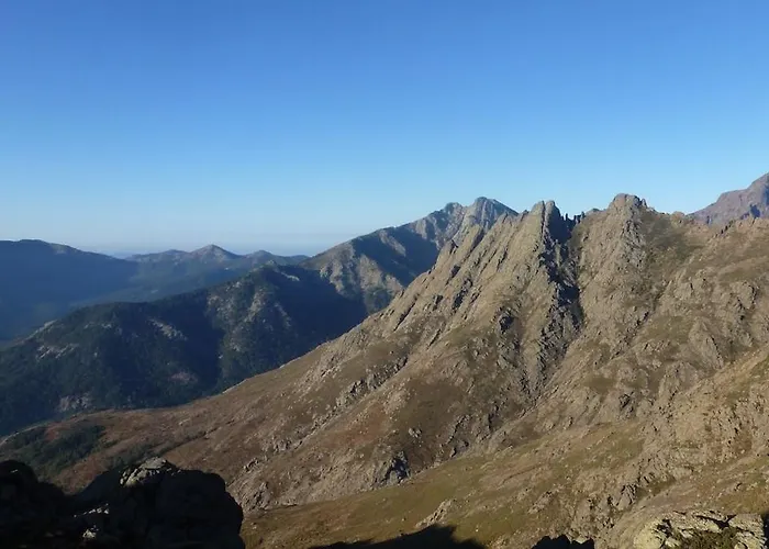 Lejlighed Joli Cosy Au Coeur De La Montagne Corse *